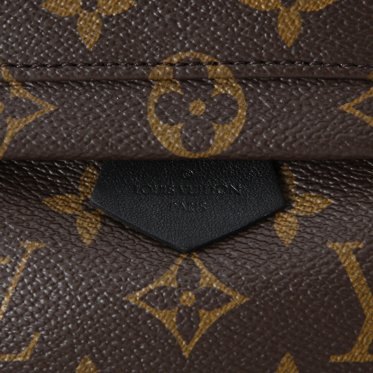 LOUIS VUITTON(USED)루이비통 팜스프링 미니 백팩
